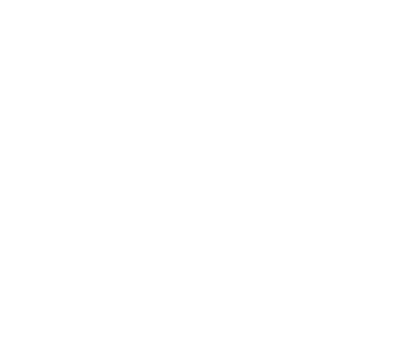 The Art Of Wine